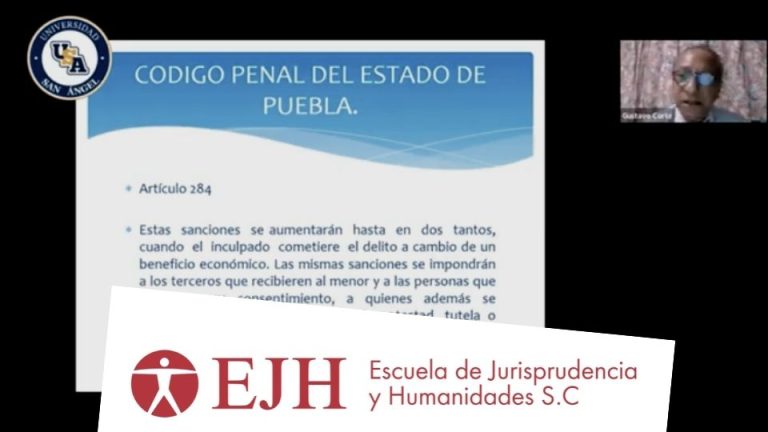 Webinar: Delitos en la sustracción de menores – Escuela de